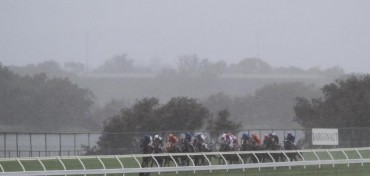 Gumbys Gossip - Belmont 6th June